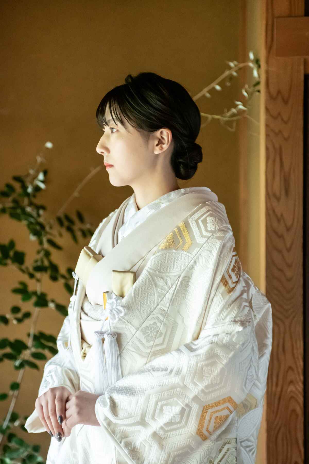 唐織亀甲
