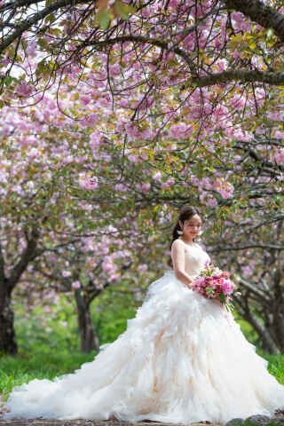 【新潟ロケーションフォト】どの季節で撮りたい♡？天候によるお日にちの変更無料フェア