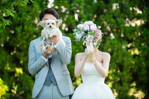 【ペットとフォトウェディング】ペットと一緒に撮影しよう　フォトウェディング相談会